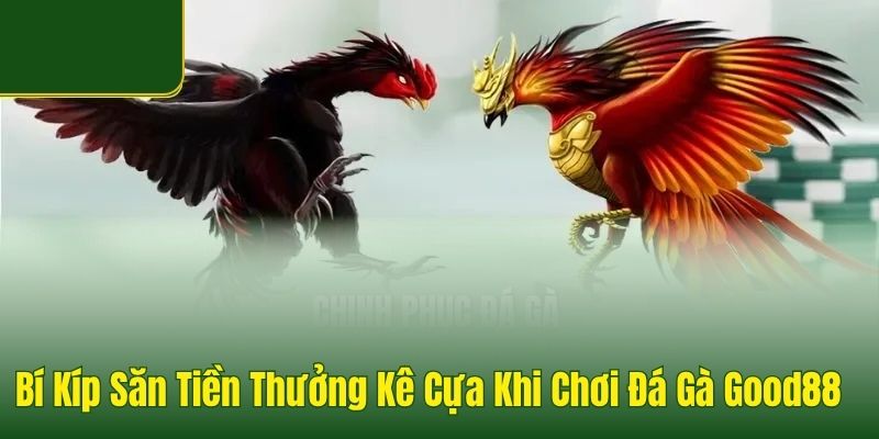Bí Kíp Săn Tiền Thưởng Kê Cựa Khi Chơi Đá Gà Good88