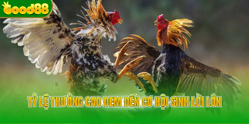 Tỷ lệ thưởng cao đem đến cơ hội sinh lời lớn