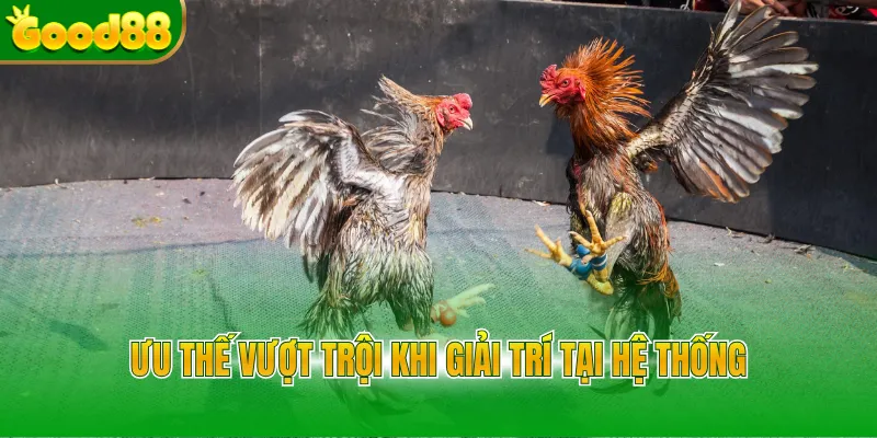 Ưu thế vượt trội khi giải trí tại hệ thống
