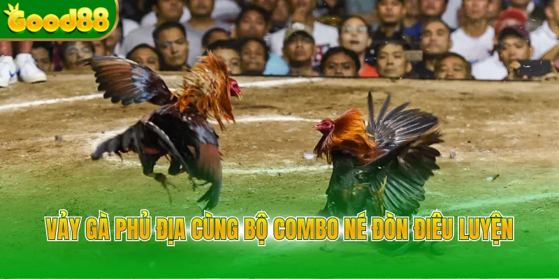 Vảy gà phủ địa cùng bộ combo né đòn điêu luyện